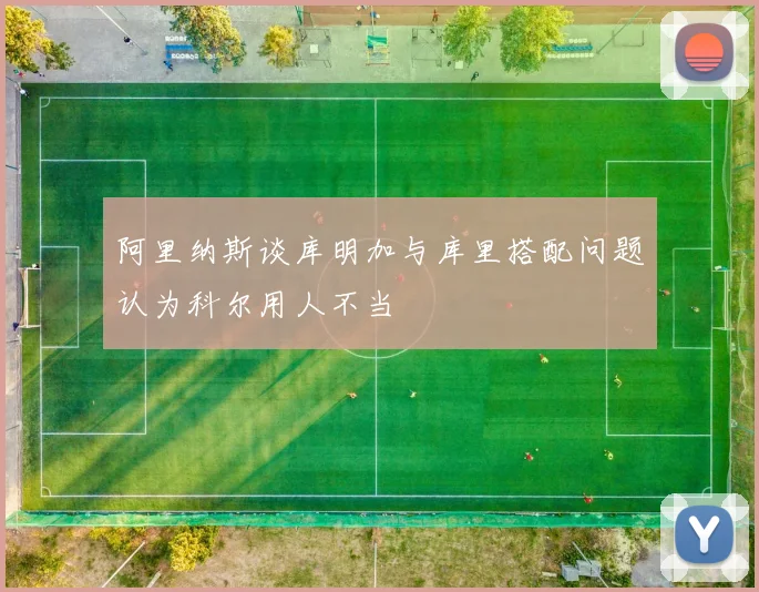 阿里纳斯谈库明加与库里搭配问题认为科尔用人不当