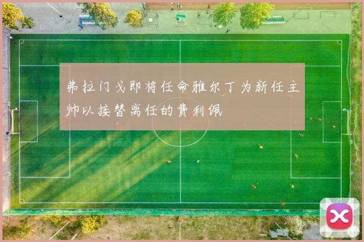 弗拉门戈即将任命雅尔丁为新任主帅以接替离任的费利佩